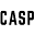CASP Icon