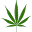 Marijuanastocks Icon