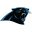 Carolina Panthers Icon