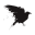 Raven Crest Tactical Icon